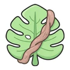Dschungel